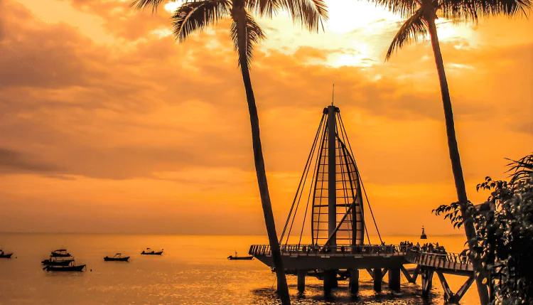 Acupuncture in Puerto Vallarta
