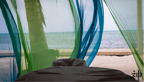 Acupuncture in Puerto Vallarta
